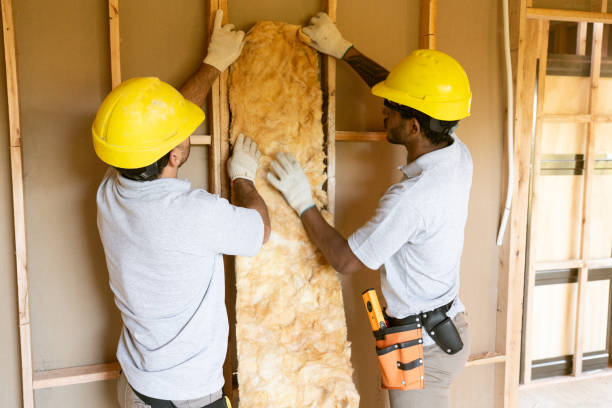 Best Insulation for New Construction  in Brandon, MS