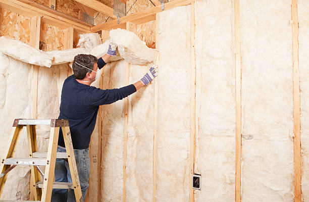 Types of Insulation We Offer in Brandon, MS